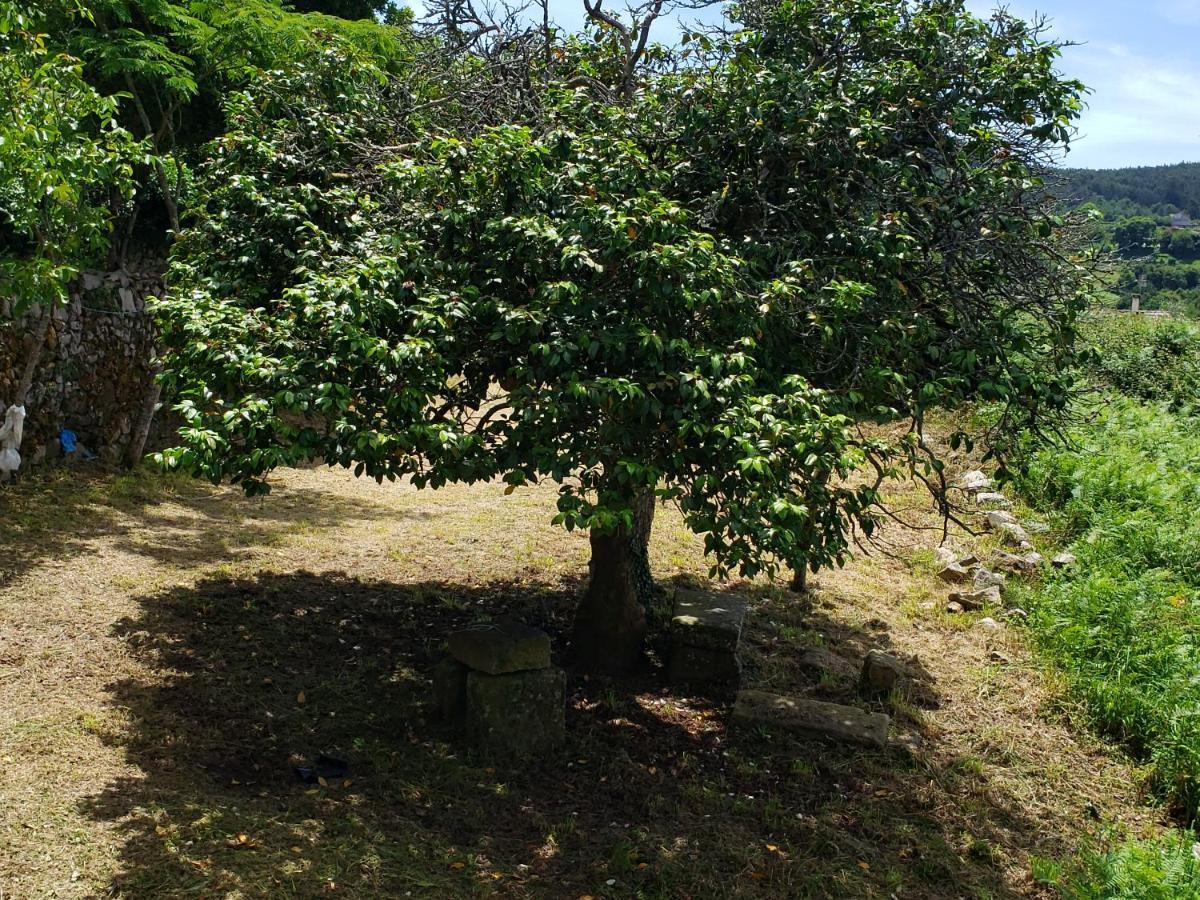 Casa Rural Do Fontan Affittacamere Pontevedra Esterno foto